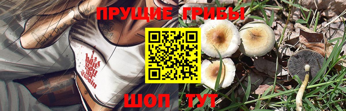 купить закладку  Галлюциногенные грибы прущие грибы  Вход с VPN  Луга 